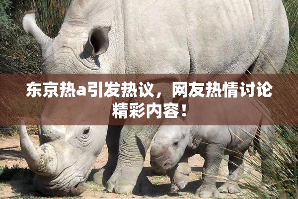 东京热a引发热议，网友热情讨论精彩内容！