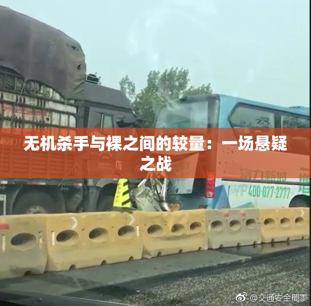 无机杀手与裸之间的较量：一场悬疑之战