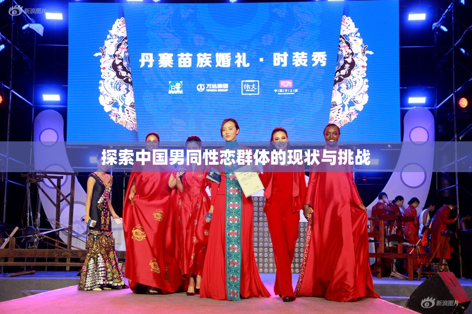 探索中国男同性恋群体的现状与挑战