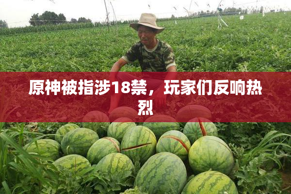 原神被指涉18禁，玩家们反响热烈