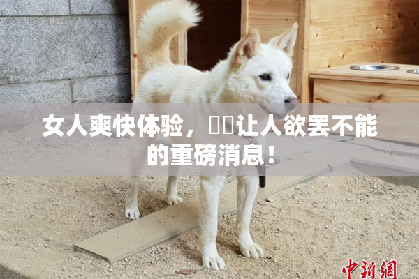 女人爽快体验，❌‌让人欲罢不能的重磅消息！