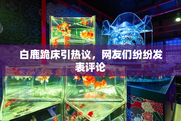白鹿跪床引热议，网友们纷纷发表评论