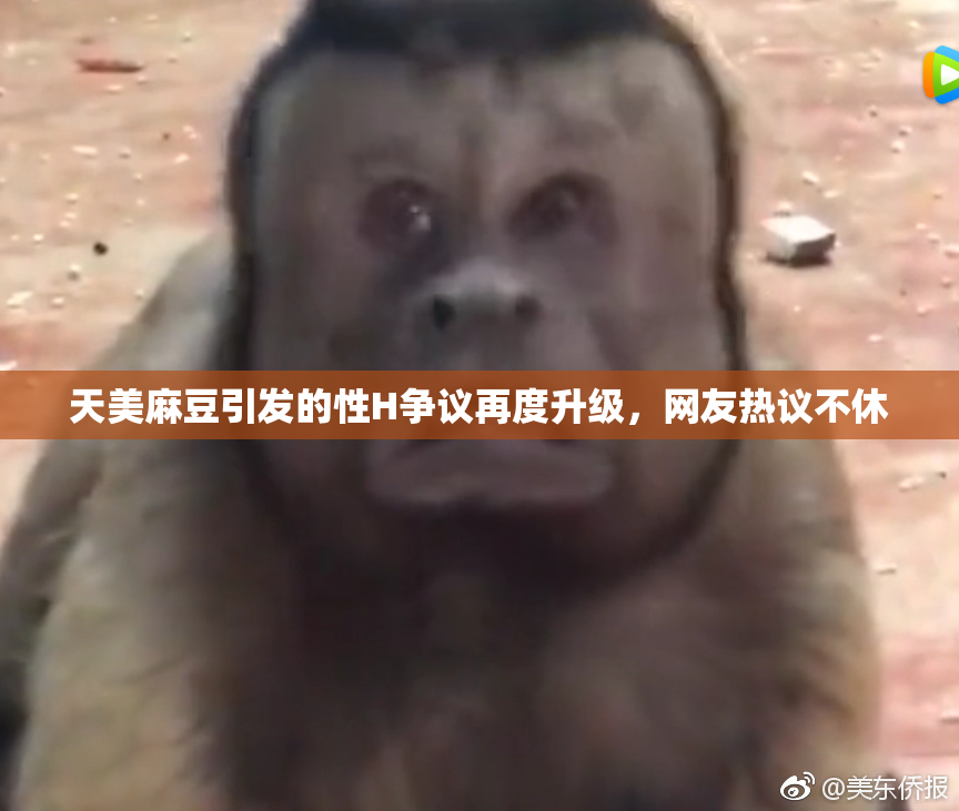 天美麻豆引发的性H争议再度升级，网友热议不休