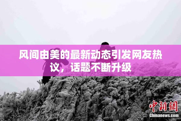 风间由美的最新动态引发网友热议，话题不断升级