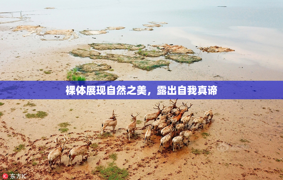 裸体展现自然之美，露出自我真谛