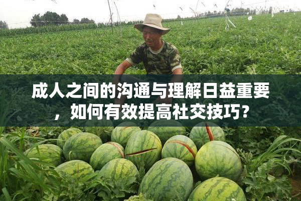 成人之间的沟通与理解日益重要，如何有效提高社交技巧？
