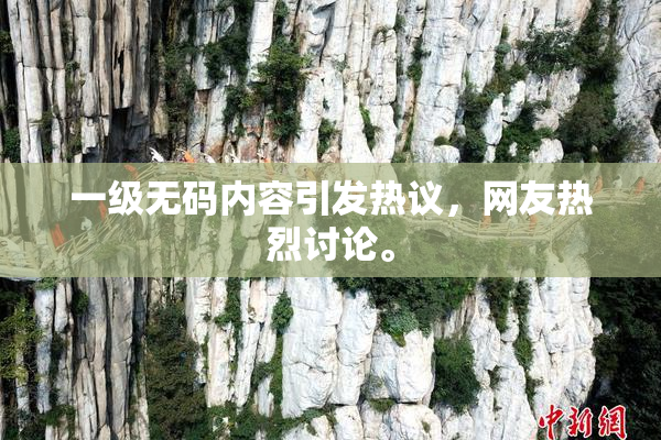 一级无码内容引发热议，网友热烈讨论。