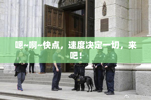 嗯~啊~快点，速度决定一切，来吧！