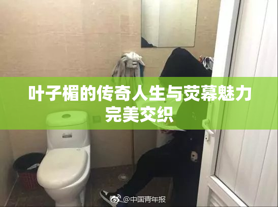 叶子楣的传奇人生与荧幕魅力完美交织