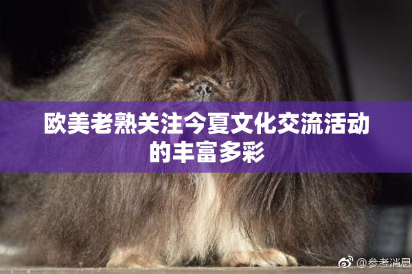 欧美老熟关注今夏文化交流活动的丰富多彩