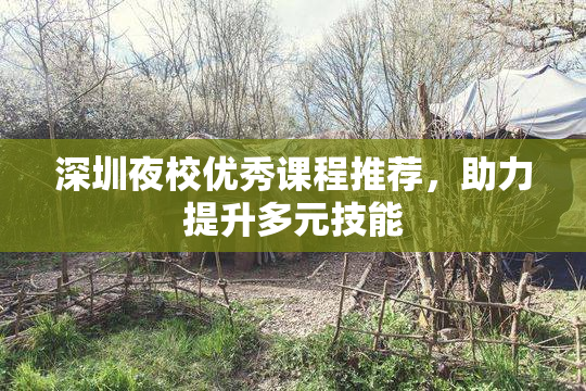 深圳夜校优秀课程推荐，助力提升多元技能