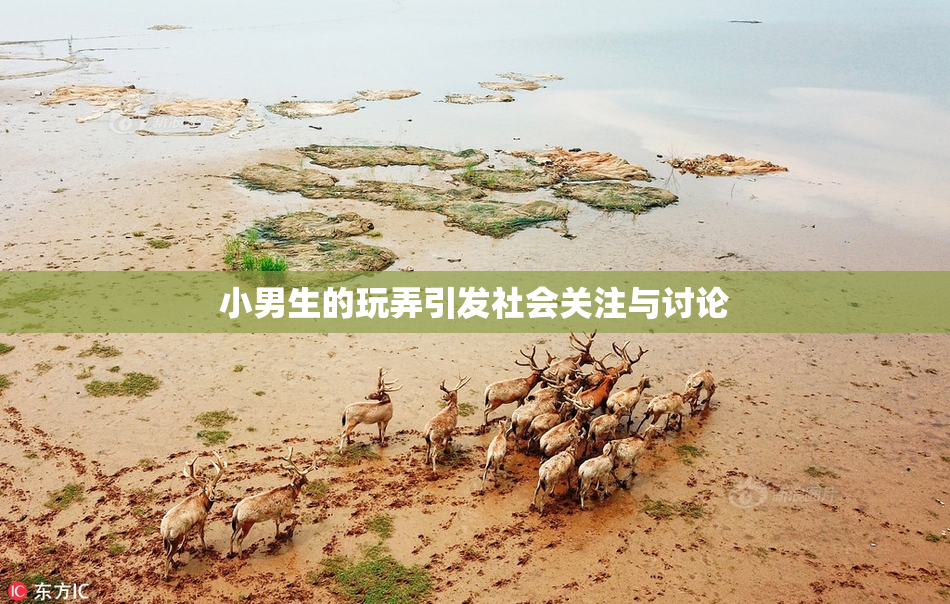 小男生的玩弄引发社会关注与讨论