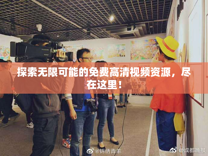 探索无限可能的免费高清视频资源，尽在这里！