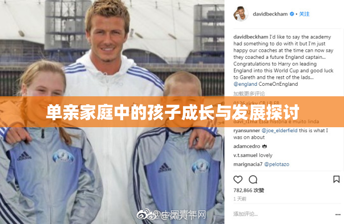单亲家庭中的孩子成长与发展探讨