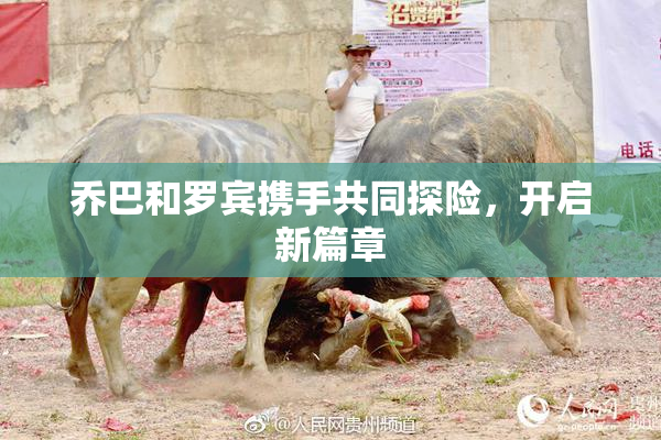 乔巴和罗宾携手共同探险，开启新篇章