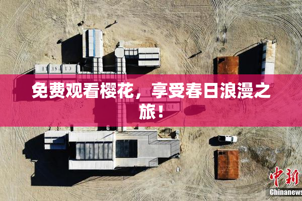 免费观看樱花，享受春日浪漫之旅！