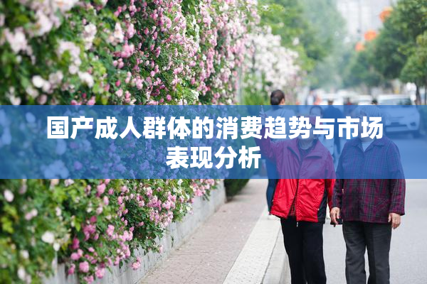 国产成人群体的消费趋势与市场表现分析