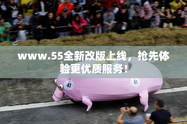 www.55全新改版上线，抢先体验更优质服务！