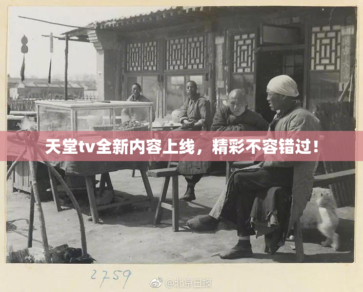 天堂tv全新内容上线，精彩不容错过！