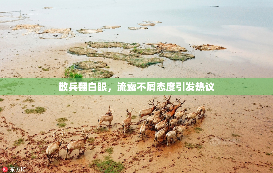 散兵翻白眼，流露不屑态度引发热议