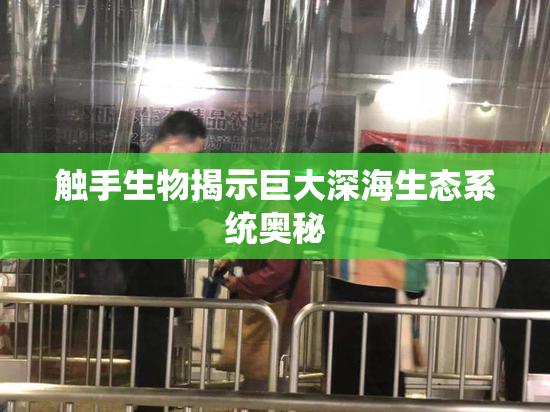 触手生物揭示巨大深海生态系统奥秘