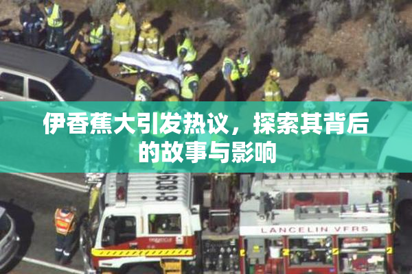伊香蕉大引发热议，探索其背后的故事与影响
