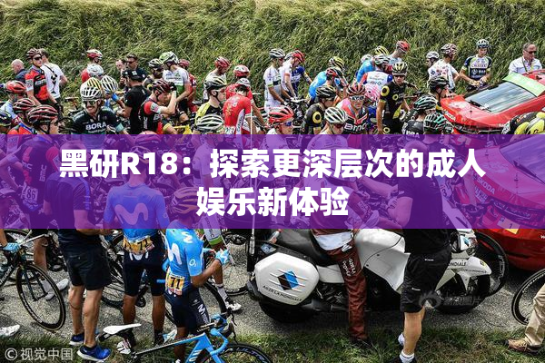 黑研R18：探索更深层次的成人娱乐新体验