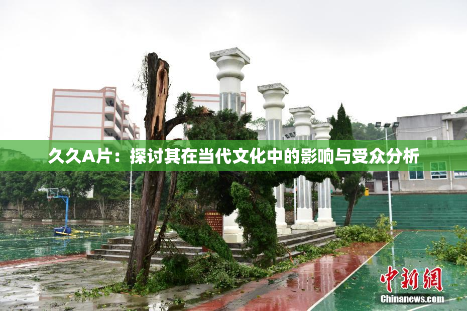 久久A片：探讨其在当代文化中的影响与受众分析