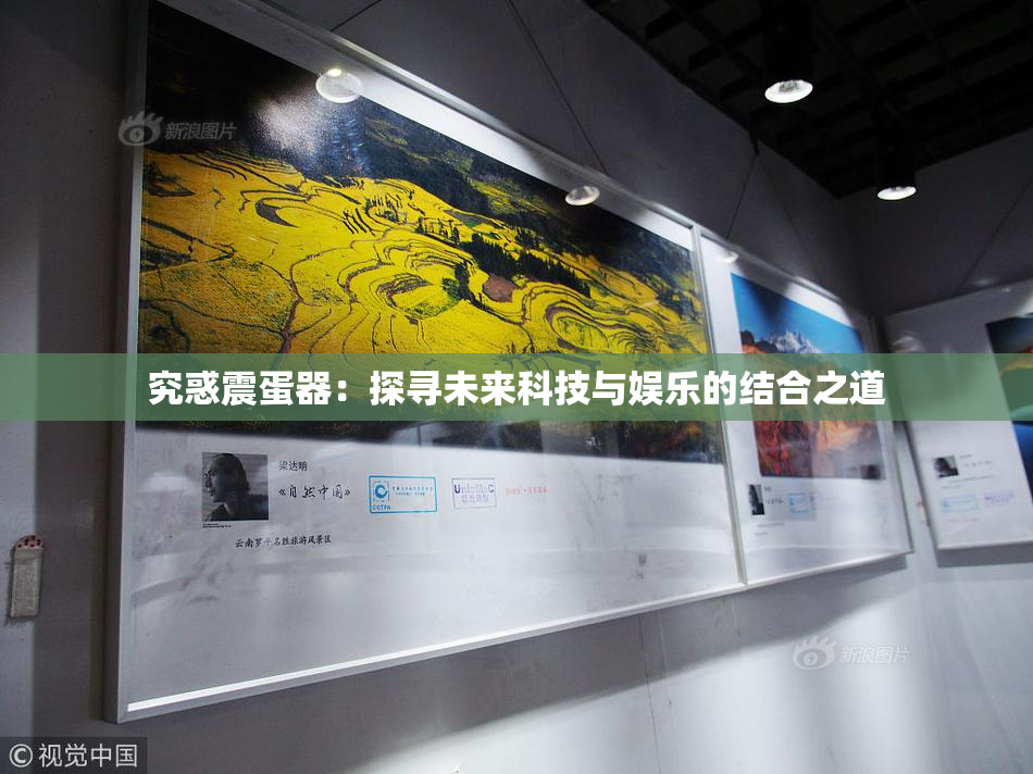 究惑震蛋器：探寻未来科技与娱乐的结合之道
