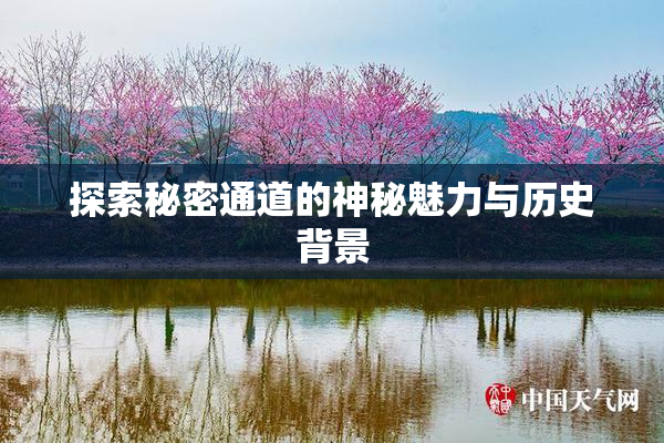 探索秘密通道的神秘魅力与历史背景