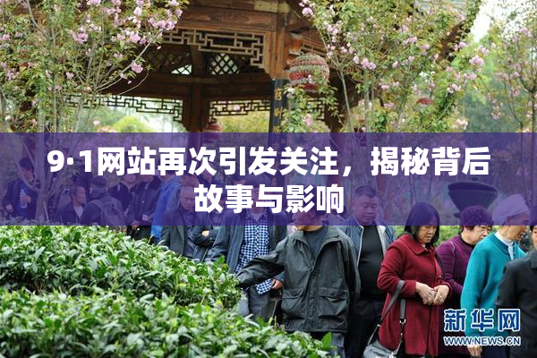 9·1网站再次引发关注，揭秘背后故事与影响