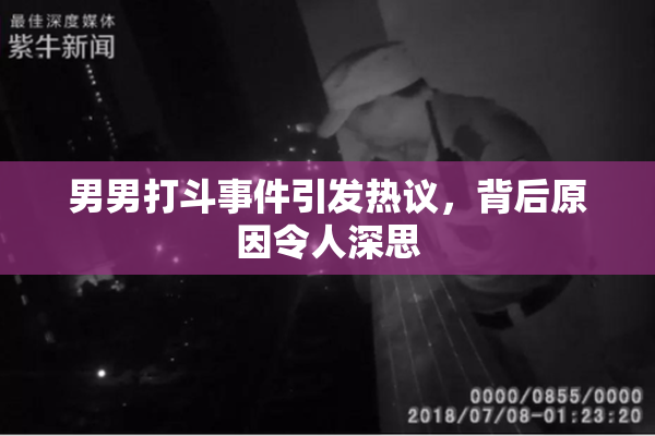 男男打斗事件引发热议，背后原因令人深思