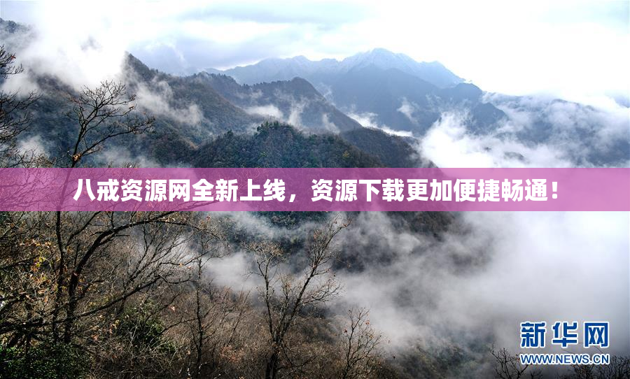 八戒资源网全新上线，资源下载更加便捷畅通！