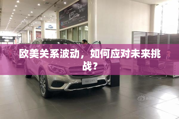 欧美关系波动，如何应对未来挑战？