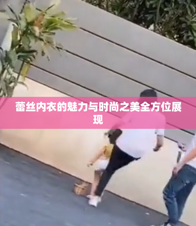 蕾丝内衣的魅力与时尚之美全方位展现