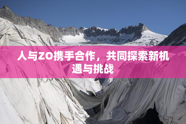 人与ZO携手合作，共同探索新机遇与挑战