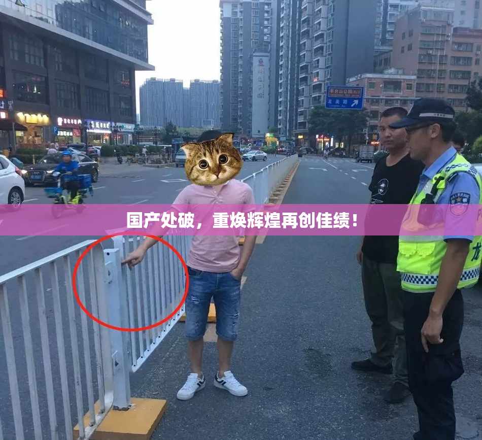 国产处破，重焕辉煌再创佳绩！