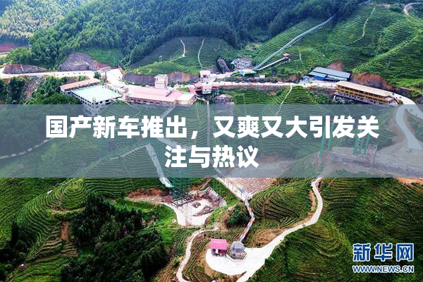 国产新车推出，又爽又大引发关注与热议
