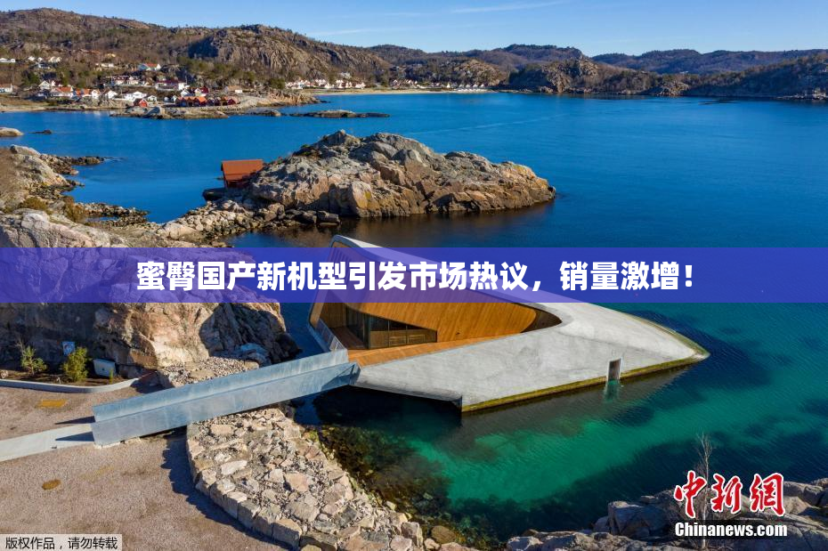 蜜臀国产新机型引发市场热议，销量激增！