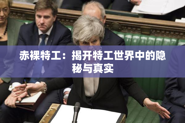 赤裸特工：揭开特工世界中的隐秘与真实