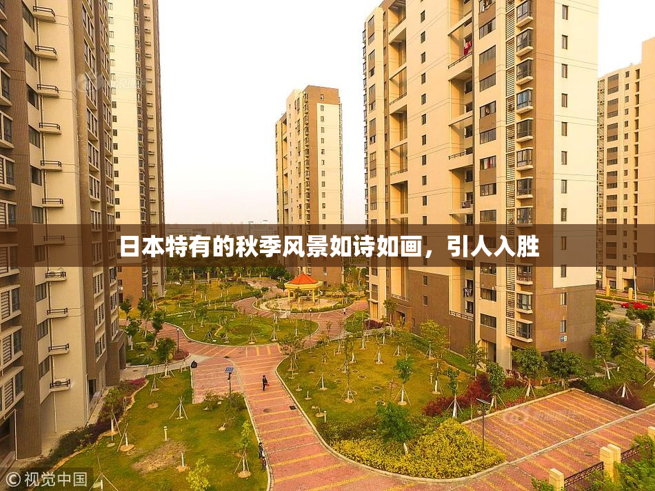 日本特有的秋季风景如诗如画，引人入胜