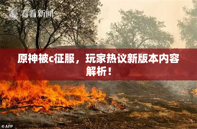 原神被c征服，玩家热议新版本内容解析！