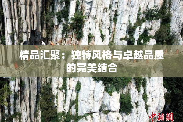 精品汇聚：独特风格与卓越品质的完美结合
