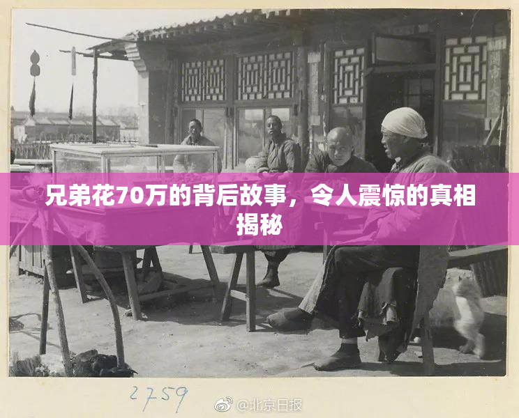 兄弟花70万的背后故事，令人震惊的真相揭秘
