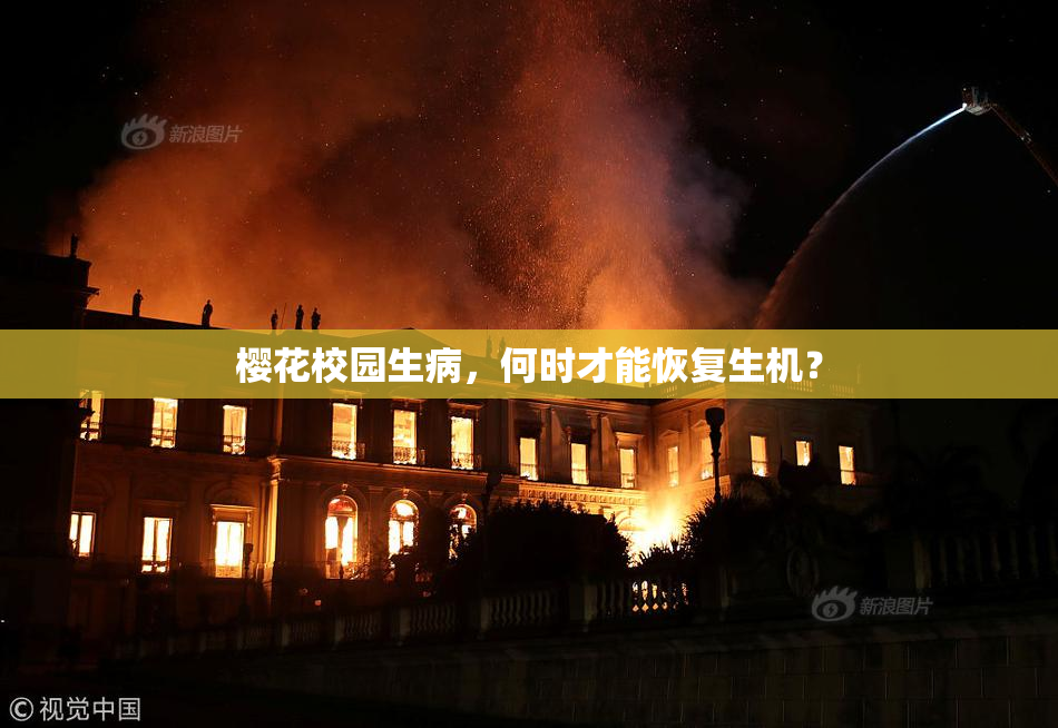 樱花校园生病，何时才能恢复生机？