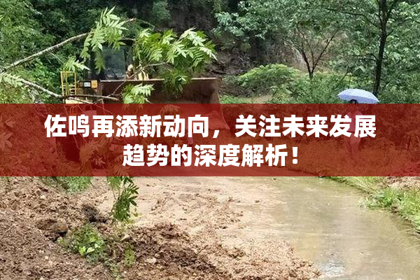 佐鸣再添新动向，关注未来发展趋势的深度解析！