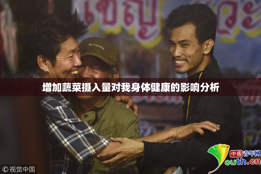 增加蔬菜摄入量对我身体健康的影响分析