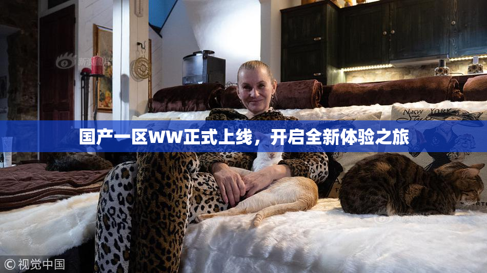 国产一区WW正式上线，开启全新体验之旅