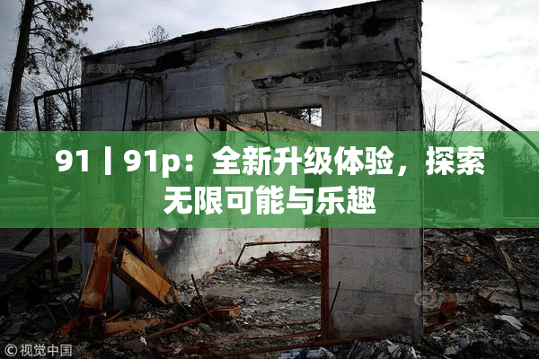 91丨91p：全新升级体验，探索无限可能与乐趣