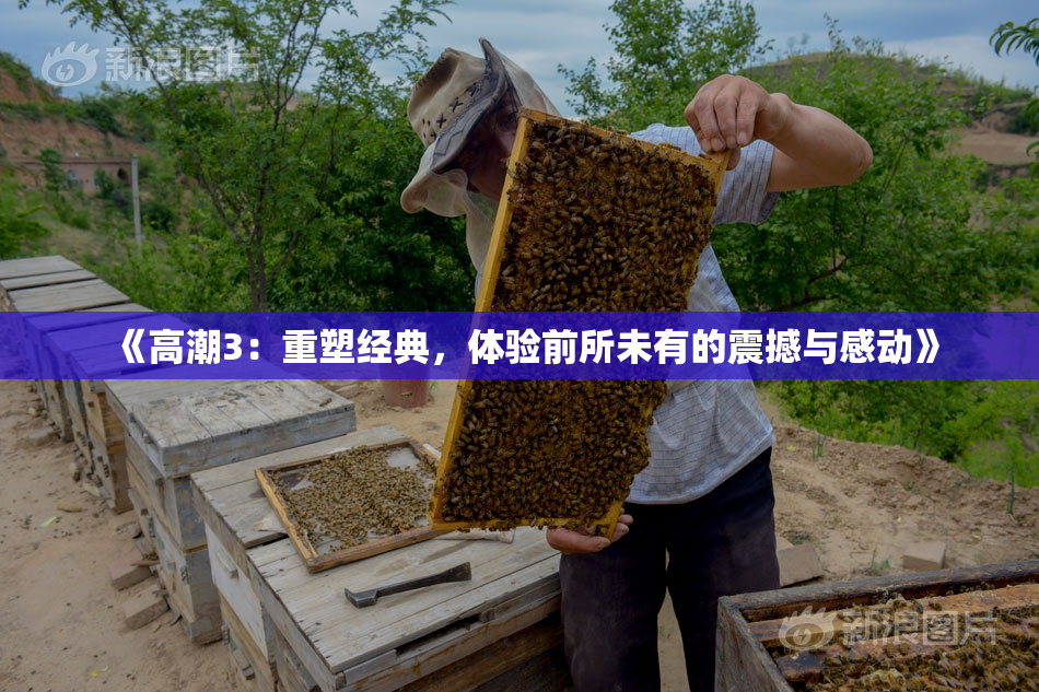 《高潮3：重塑经典，体验前所未有的震撼与感动》